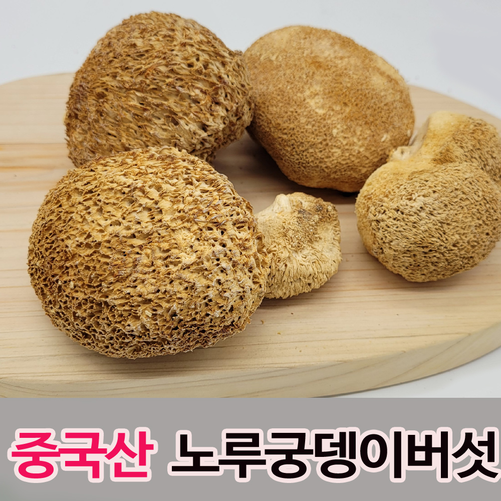 청명약초 노루궁뎅이버섯(300g)-중국산